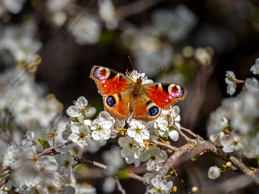 Revitalize Your Outdoor Space: The Importance of Seasonal Garden Clean-up